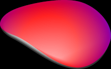 aduki
